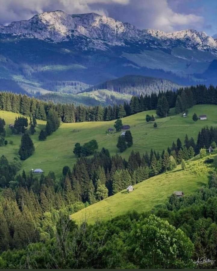 Hotel Casa Maria Moieciu C Moeciu De Sus Zewnętrze zdjęcie