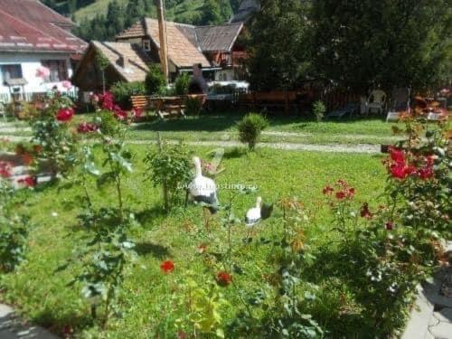 Hotel Casa Maria Moieciu C Moeciu De Sus Zewnętrze zdjęcie